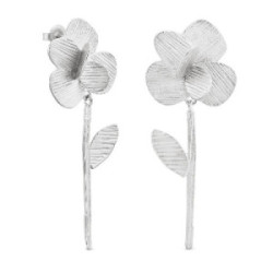 Pendientes plata Pampalonia